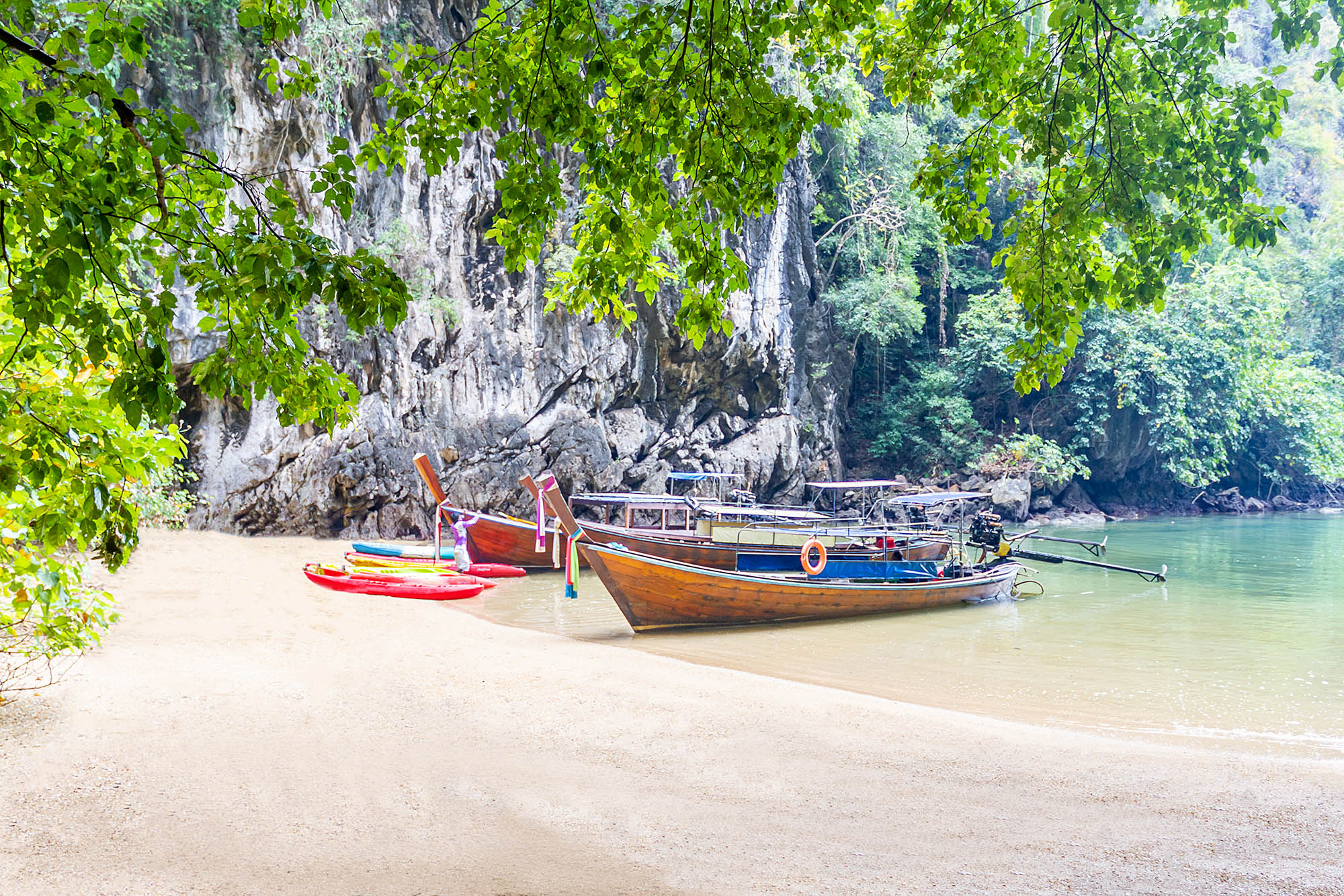 Koh Lanta Island Real Estate - Koh Lanta island property - investment Koh Lanta Krabi thung yee pheng Thung Yee Pheng Mangrove Forest Koh Lanta Island Krabi Thung Yee Pheng One day Tour 05