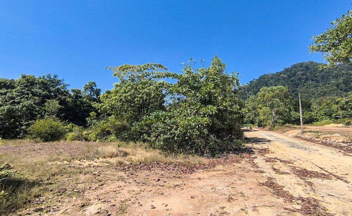 Koh Lanta Land for sale Prime Land in Thung Yee Peng Krabi koh lanta land for sale Koh Lanta Land for sale Prime Land in Thung Yee Peng Krabi Koh Lanta Island Land for Sale 04 1140x700